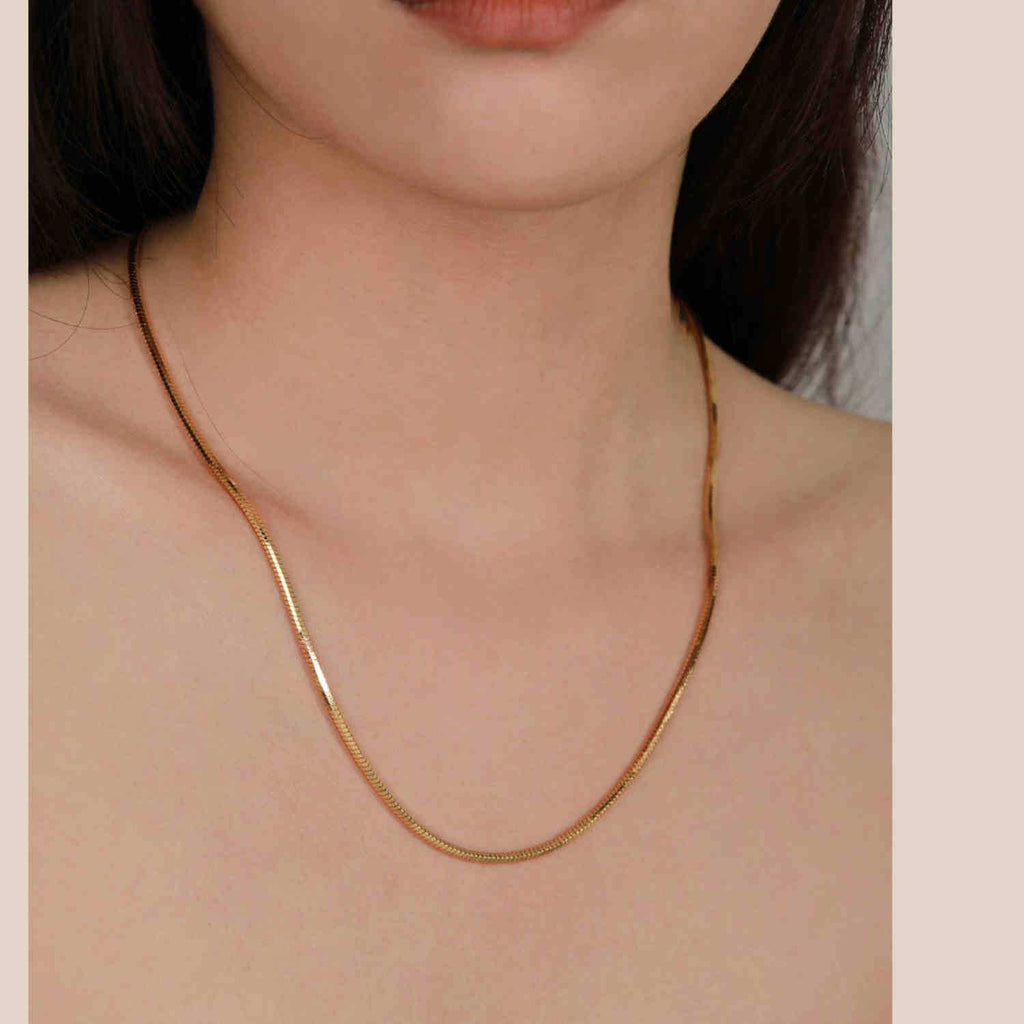 Titanium Steel Simple Fashion INS Style Square Snake Bone Chain Smooth Curve Beauty Versatile Personality Short Necklace