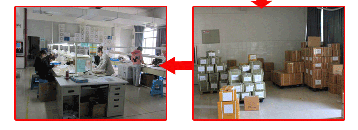 Vintage Style Green Butterfly Choker Necklace Cuban Necklace Collarbone Chain Titanium Steel 18K Gold Plated Non-Fading