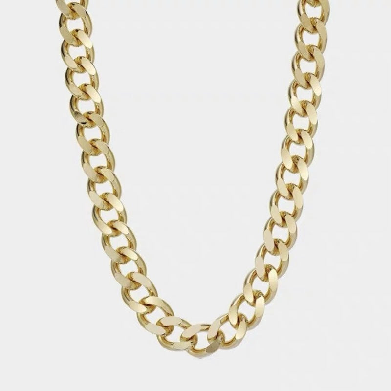 Fashionable Titanium Steel Thick Chain Necklace INS Internet Celebrity Metal Style Retro Choker Collarbone Chain Trend