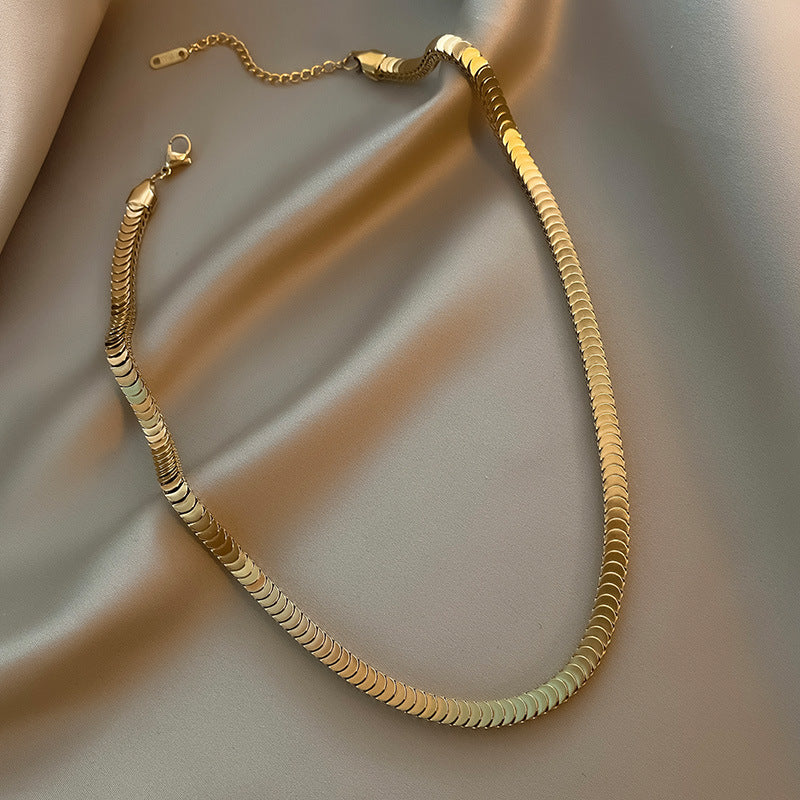 Fashionable Titanium Steel Thick Chain Necklace INS Internet Celebrity Metal Style Retro Choker Collarbone Chain Trend