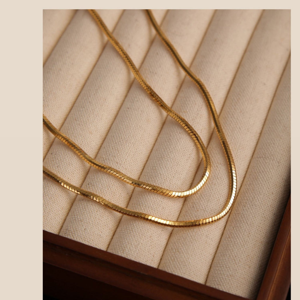 Titanium Steel Simple Fashion INS Style Square Snake Bone Chain Smooth Curve Beauty Versatile Personality Short Necklace