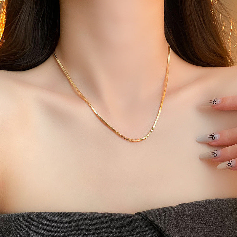 Titanium Steel Simple Fashion INS Style Square Snake Bone Chain Smooth Curve Beauty Versatile Personality Short Necklace