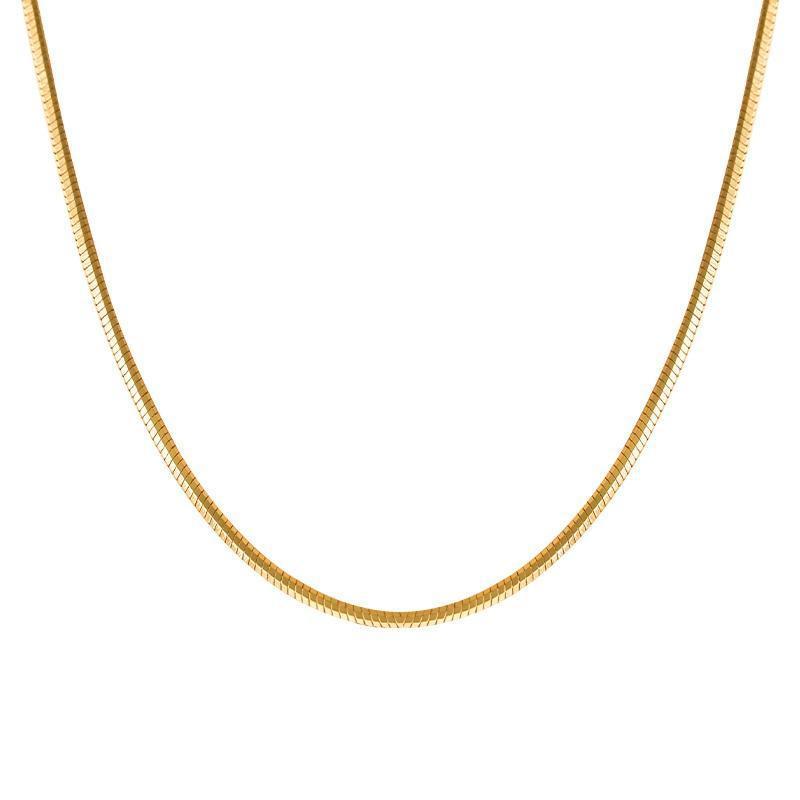 Titanium Steel Simple Fashion INS Style Square Snake Bone Chain Smooth Curve Beauty Versatile Personality Short Necklace