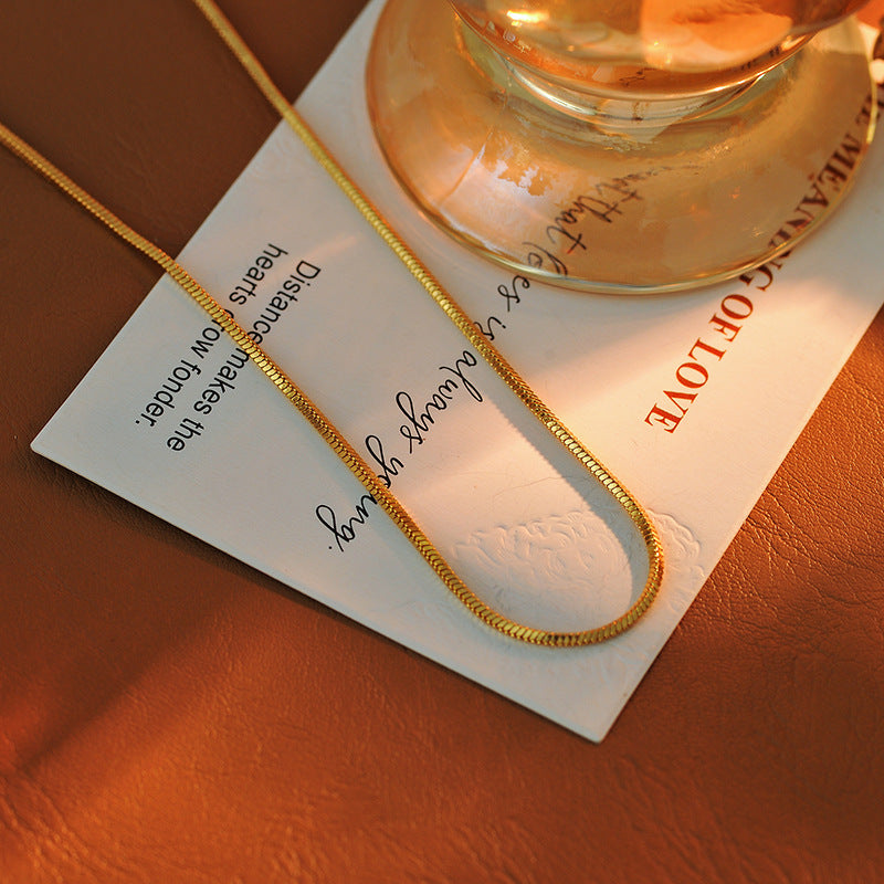 Interchangeable Pendant Fashion Simple Collarbone Chain Necklace Niche Light Luxury High-end Necklace Plain Chain Snake Bone Chain Necklace