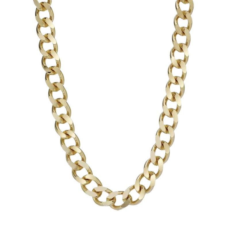 Fashionable Titanium Steel Thick Chain Necklace INS Internet Celebrity Metal Style Retro Choker Collarbone Chain Trend