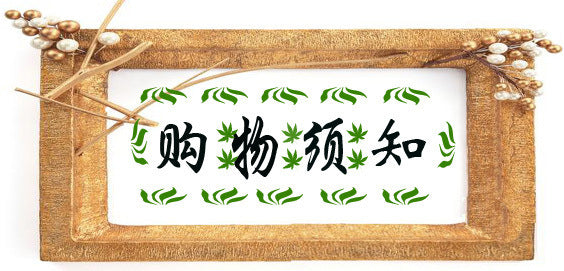 Vintage Style Green Butterfly Choker Necklace Cuban Necklace Collarbone Chain Titanium Steel 18K Gold Plated Non-Fading