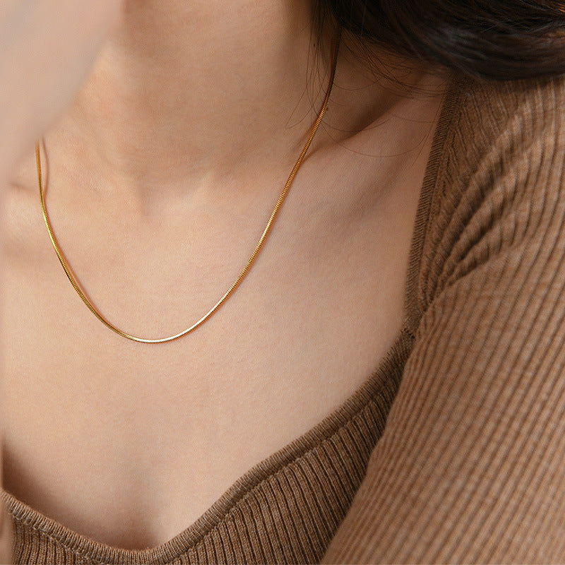 Titanium Steel Simple Fashion INS Style Square Snake Bone Chain Smooth Curve Beauty Versatile Personality Short Necklace